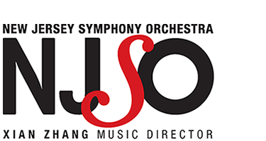New Jersey Symphony Orchestra Vice President of Development New Jersey Symphony Orchestra Vice President of Development NJSO